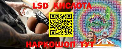 шишки Донской
