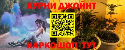 шишки Донской