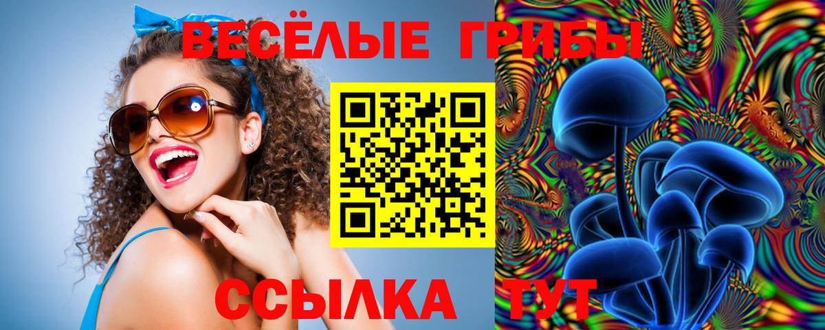 Галлюциногенные грибы мицелий  Вход с VPN  Галлюциногенные грибы MAGIC MUSHROOMS  Нижнекамск 